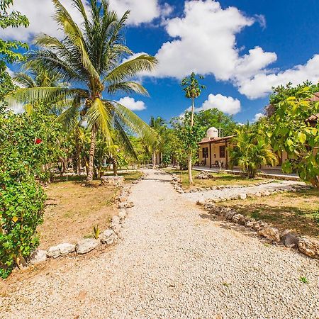 Posada Palmar Bacalar Kültér fotó